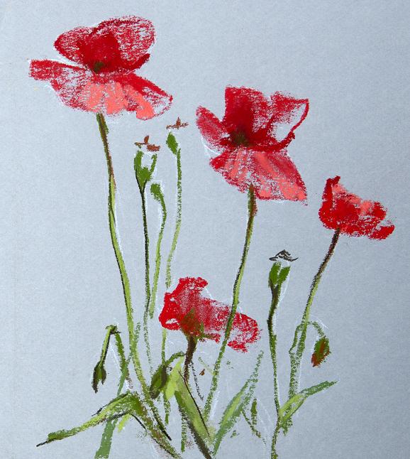 Полевые цветы. Маки. Пастельная живопись - Таткина_0.jpg